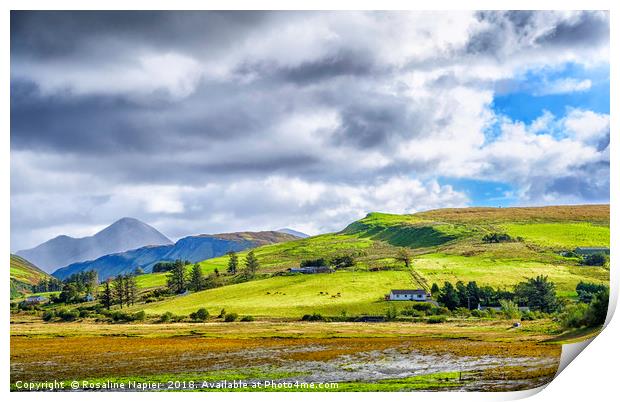 Isle of Skye rural landscape Print by Rosaline Napier