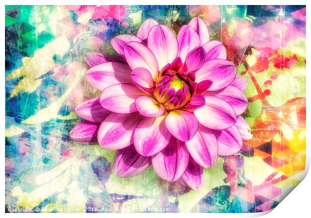 Pink dahlia with paint effect background Print by Rosaline Napier