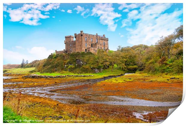 Dunvegan Castle Skye Print by Rosaline Napier