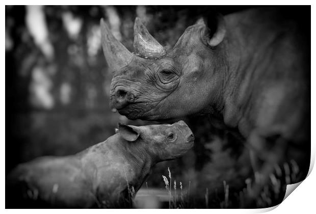 Black Rhinoceros and Calf  Print by Mike Evans