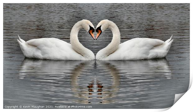Majestic Swans Swimming in a Heart-Shaped Pond Print by Kevin Maughan