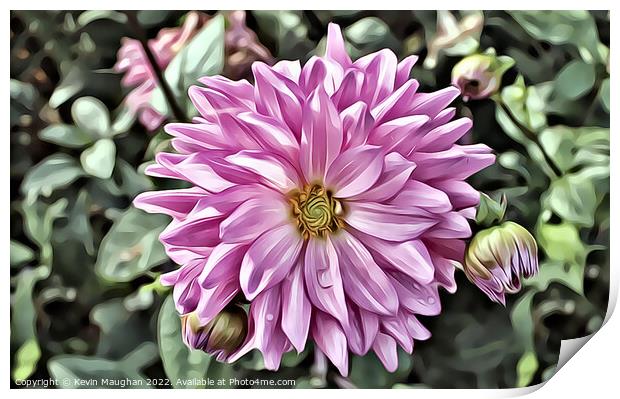 Vibrant Pink Dahlia (Digital Art) Print by Kevin Maughan