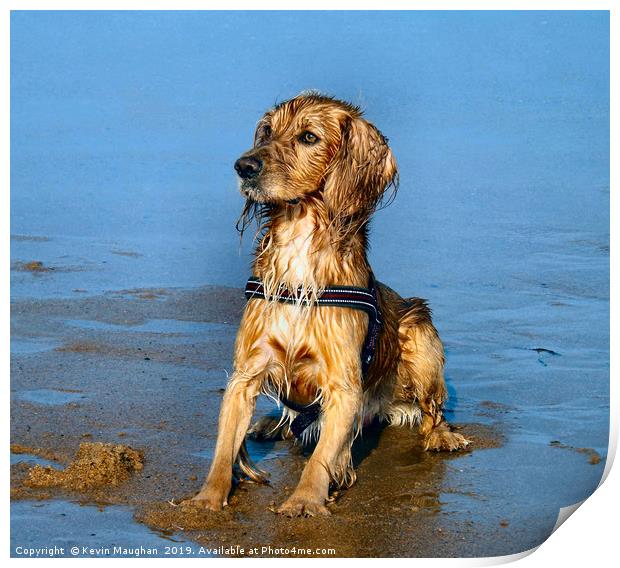 The Perfect Dog Pose Print by Kevin Maughan
