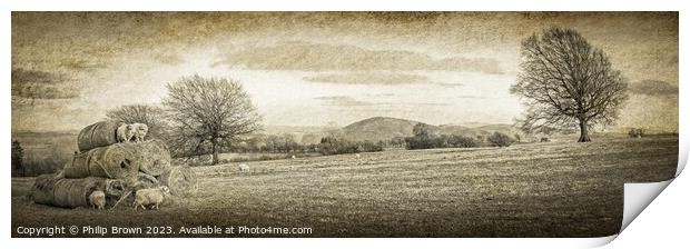 Horned Sheep playing on Stack of Bails of Hay in S Print by Philip Brown