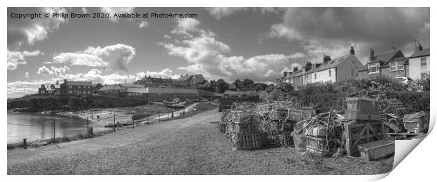 Craster Harbour in Northumberland. Panorama Print by Philip Brown