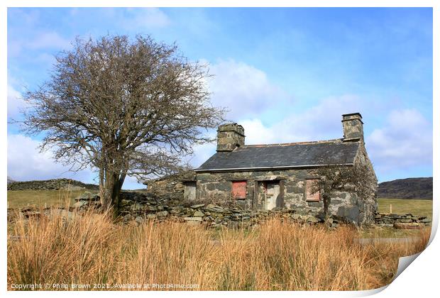 Derelict Cottage, Wales Print by Philip Brown