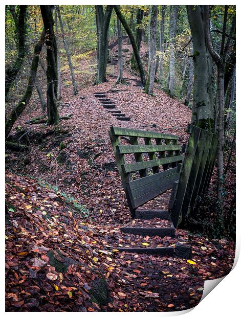 Autumn Stairway Print by David Brookens