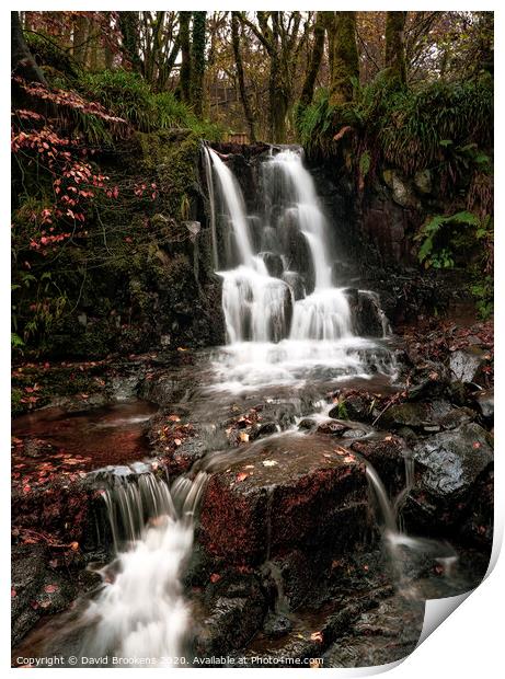 Glenashdale Waterfall Print by David Brookens