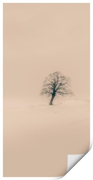 A tree in in the snow Print by Duncan Loraine