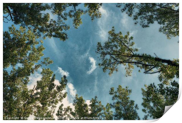 the sky in the trees at Park of Cormor. Print by Sergio Delle Vedove