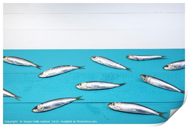 Sardines on a blue table Print by Sergio Delle Vedove