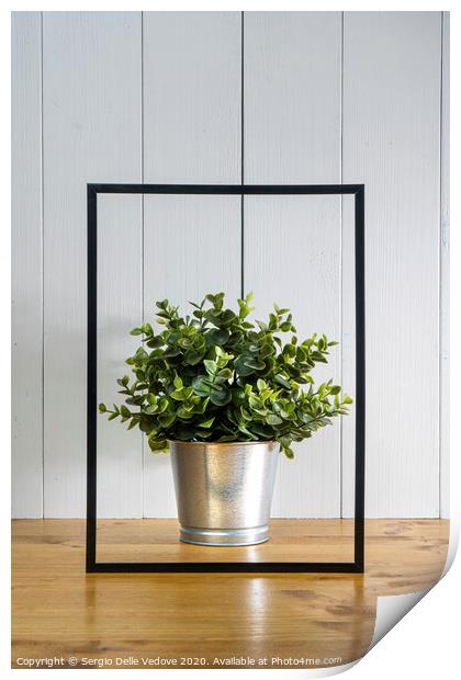A blank black frame  and a flowerpot Print by Sergio Delle Vedove