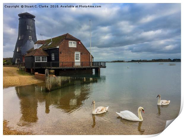 Langstone Mill Swans Print by Stuart C Clarke