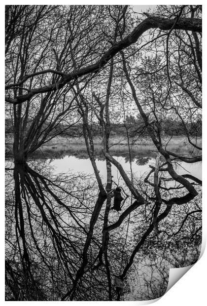 Portrait reflections Print by Stuart C Clarke