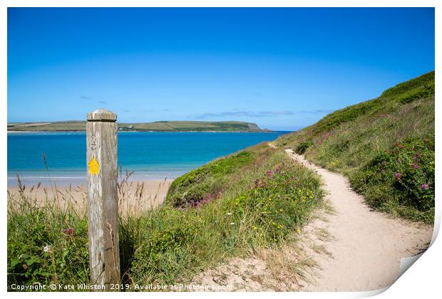 The Path to the Beach Print by Kate Whiston
