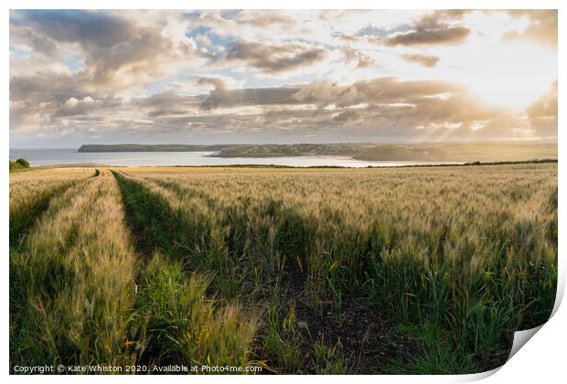 Sunrise over the barley Print by Kate Whiston