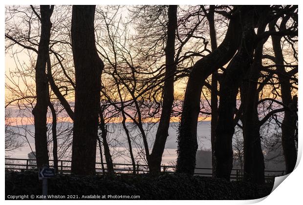 Sunrise through the trees Print by Kate Whiston
