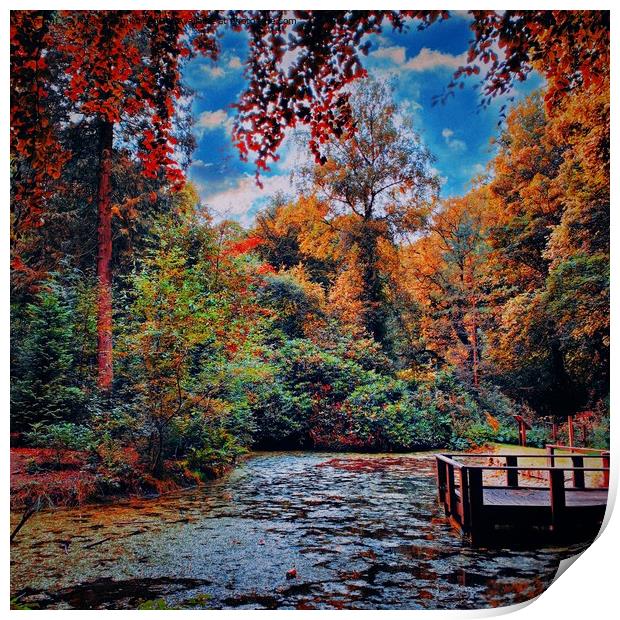 Etherow Pond  Print by Rachael Smith