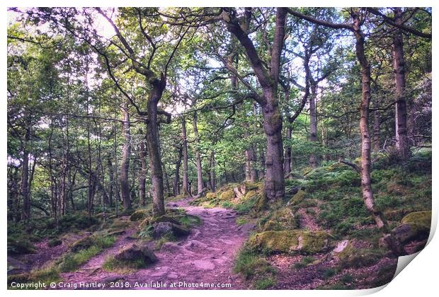  A walk through Padley Gorge Print by Craig Hartley