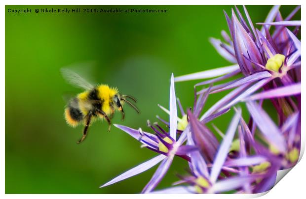 Beauty and the Bee Print by NKH10 Photography