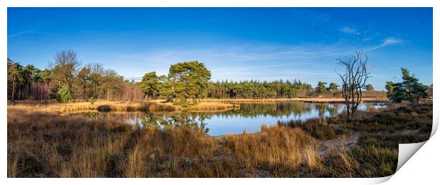 View over the Zevenboomsven lake in the Afferdense Duinen Print by John Stuij