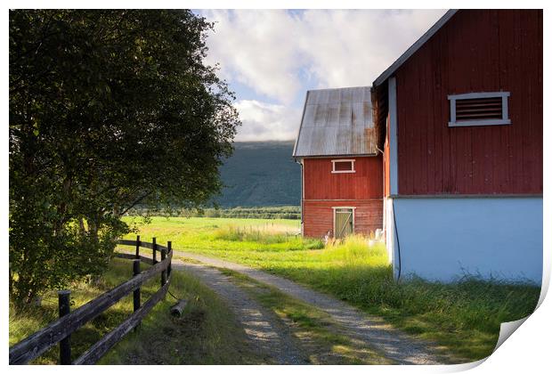 Falured shed in Norway Print by John Stuij