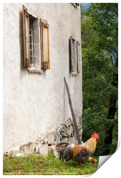 A rooster in front of a house Print by John Stuij