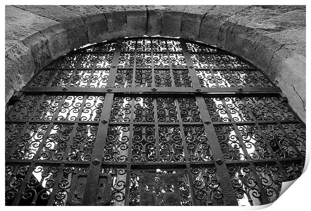 Monochrome Iron Gate Print by Lisa Shotton