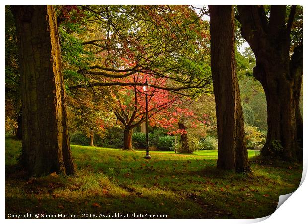 An Autumn Oasis Print by Simon Martinez