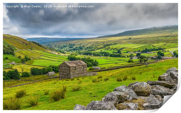 Swaledale Stone Walls and Barns Print by Alan Deeley