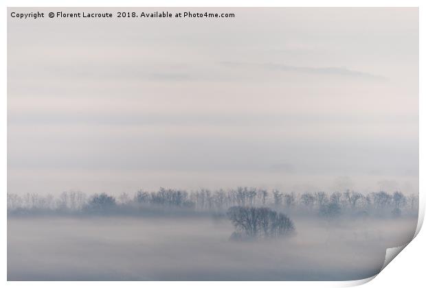 Misty trees Print by Florent Lacroute
