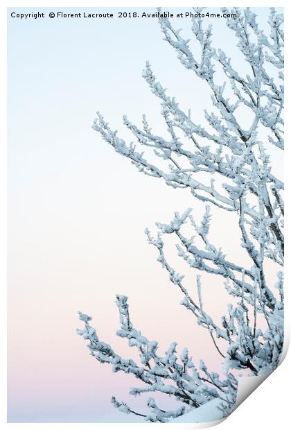 Branches covered in snow with pastel colored sky Print by Florent Lacroute