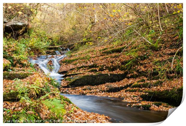 Edradour Burn flowing into Black Spout in autumn Print by Chris Rabe