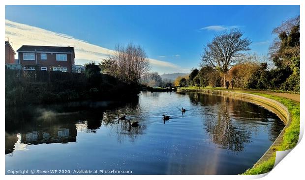 Geese Enjoying the Canal Print by Steve WP
