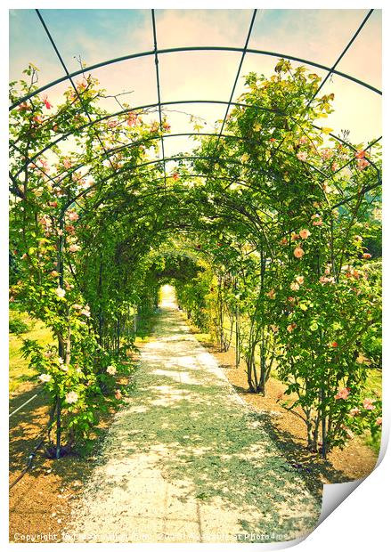 Romantic garden with love path Print by Luisa Vallon Fumi