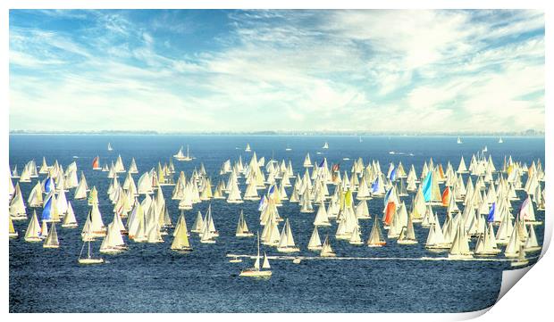 Regatta, white sails in the wind Print by Luisa Vallon Fumi
