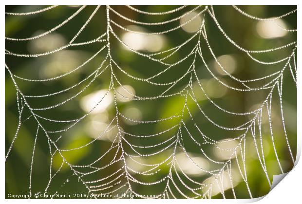 Abstract close-up glistening dew covered cobweb Print by Claire Smith