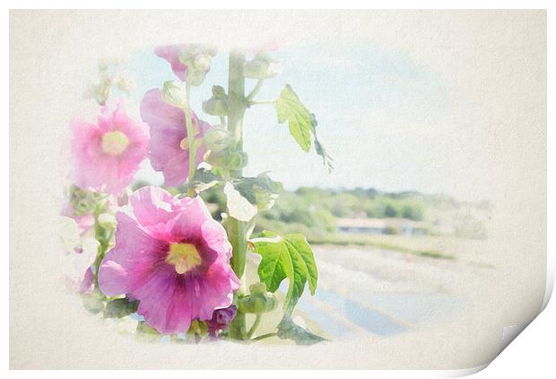 hollyhock with saltminning in watercolor Print by youri Mahieu