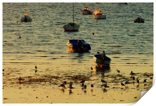Boats parked on water in the morning sun Print by youri Mahieu