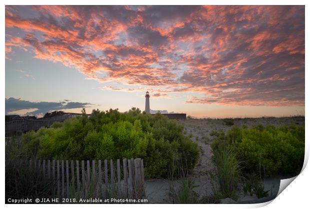 Cape May Point lighthouse landscape  Print by JIA HE