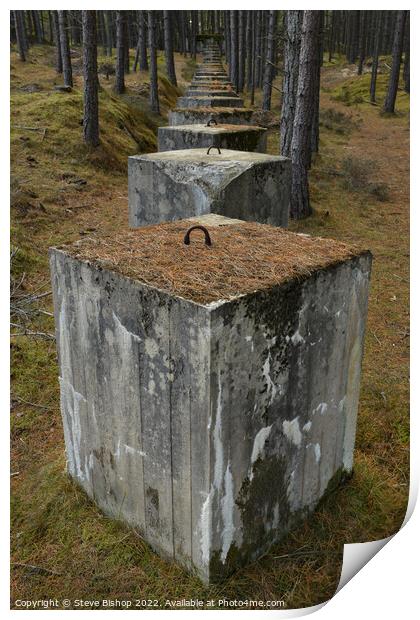 Lossiemouth Woods Tank Traps Print by Steve Bishop
