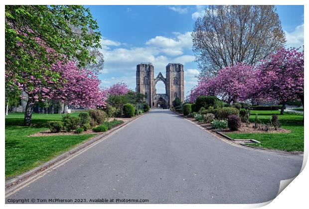 Serenity of Elgin Cathedral Print by Tom McPherson