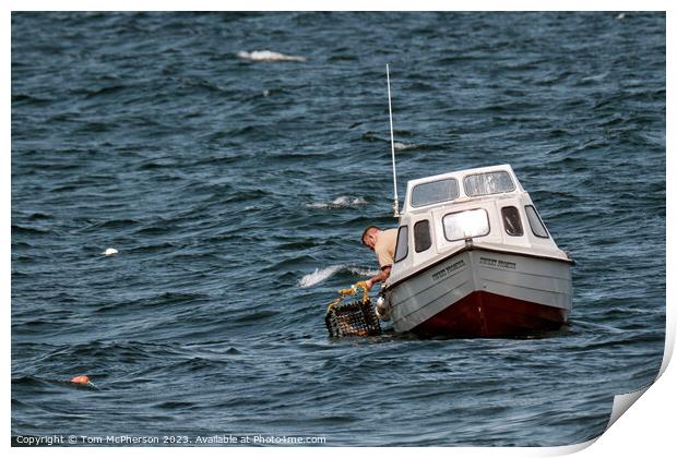  lobster fisherman at work in Moray Firth Print by Tom McPherson