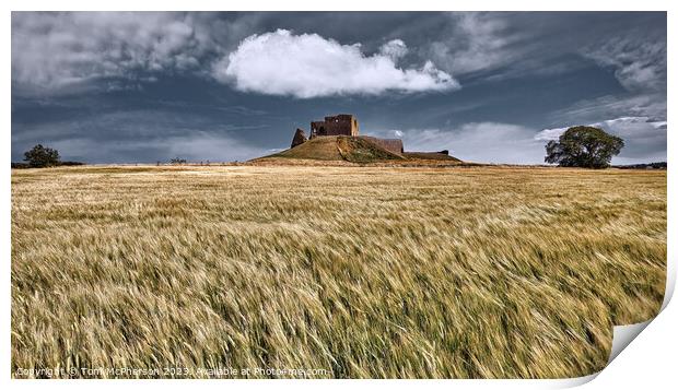 Ruins of Duffus Castle Print by Tom McPherson