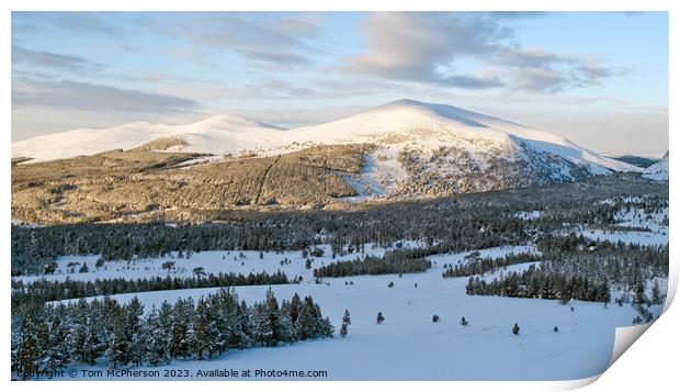  Snowy Splendor of Cairngorm Mountain Print by Tom McPherson