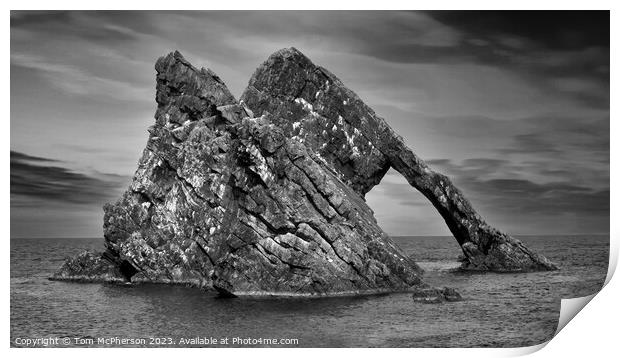 Majestic Bow Fiddle Rock Print by Tom McPherson