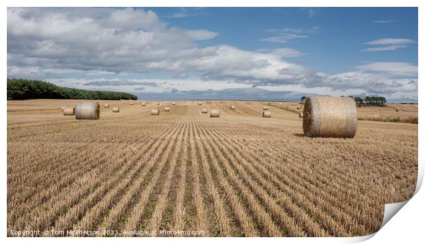 Outdoor field of hay bales near Hopeman Print by Tom McPherson