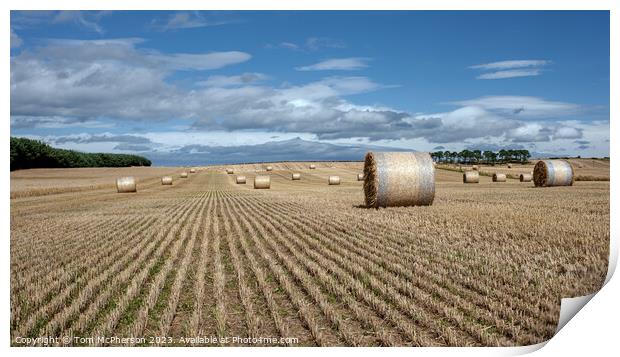 Harvest's Bounty: Hay Bales in Moray Print by Tom McPherson