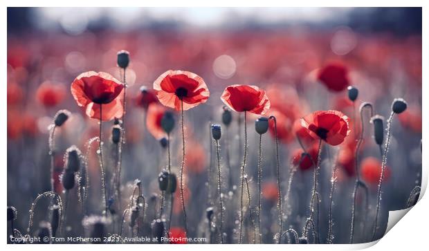 Vibrant Poppies: A Microcosm of Life Print by Tom McPherson