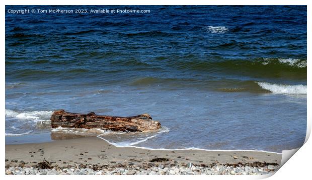 Sand-Kissed Driftwood: Nature's Artistry Print by Tom McPherson